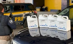 Site que dá garante procedência de poças usadas ampliou vendas nos CDVs