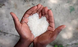 Feira Comunitária acontecerá neste sábado