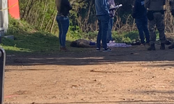 Motorista é preso em flagrante por embriaguez após colidir em muro