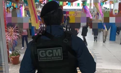 Fiscalização retira mais de 20 cavalos soltos nas vias da cidade