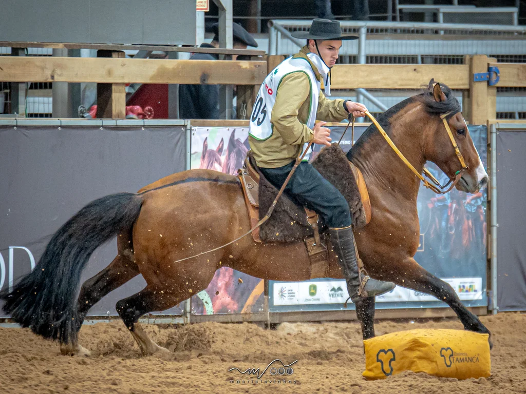 Inscrições abertas para a Final do Freio do Proprietário 2025