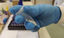 Maria da Penha movimenta ‘manhã’ da Brigada Militar