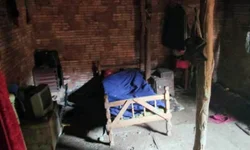 Operação da PF combate tráfico de pássaros na Fronteira Oeste