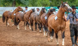 Emma Watson parou de atuar “porque eu não tinha voz”