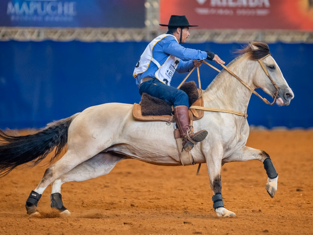 Final do Movimiento a La Rienda define seus campeões