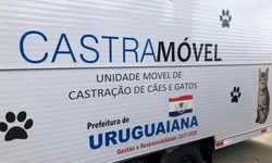 Argentina diz que gafanhotos estão a 130 km da Barra do Quaraí