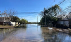 Trinta por cento dos motoristas presos são de Uruguaiana, estima Sindicato