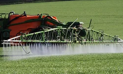 Câmara quer Escola Cívico-Militar em Uruguaiana