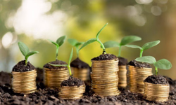 Agronegócio impulsionou a balança comercial brasileira em 2020