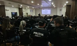 Idoso morre após ataque de cães