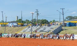 Celemaster estreia na Liga Gaúcha em clássico em Uruguaiana
