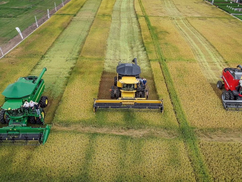 Clima é de expectativa para a Abertura Oficial da Colheita do Arroz