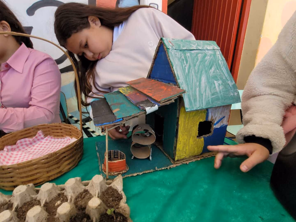 Castelo Branco realiza Feira de Ciências em outubro