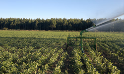 Fetag-RS lança aplicativo para mapear perdas