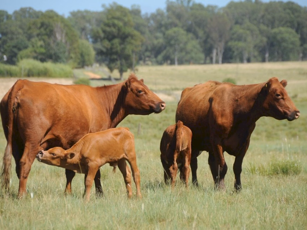 Fórum permanente de agronegócio acontece na Pastoril