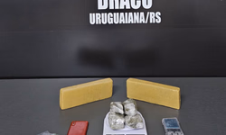 Guardas municipais salvam vida de vítima de atropelamento