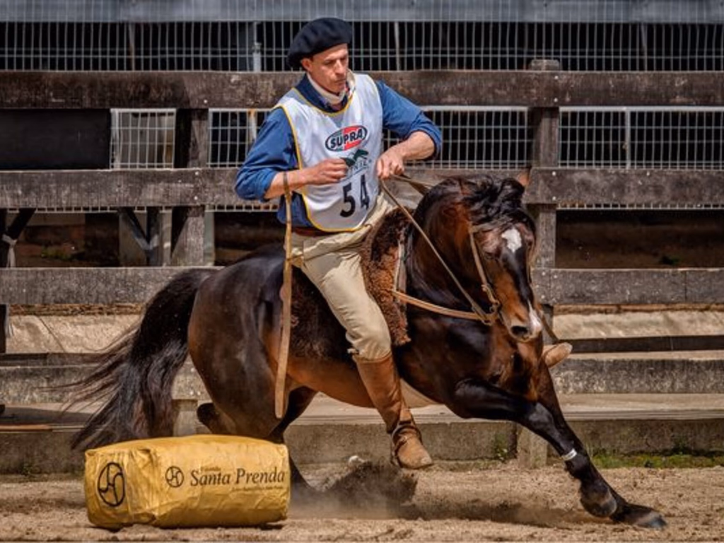 Freio do Proprietário encerra ciclo de finais da ABCCC