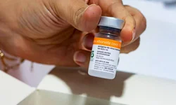 Crianças imunodeprimidas serão priorizadas na vacinação