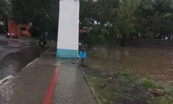 Cooperativa de Uruguaiana entrega mais de 16 mil kg de doações