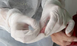 Primeiro trecho da pista Sul será liberado nos próximos dias