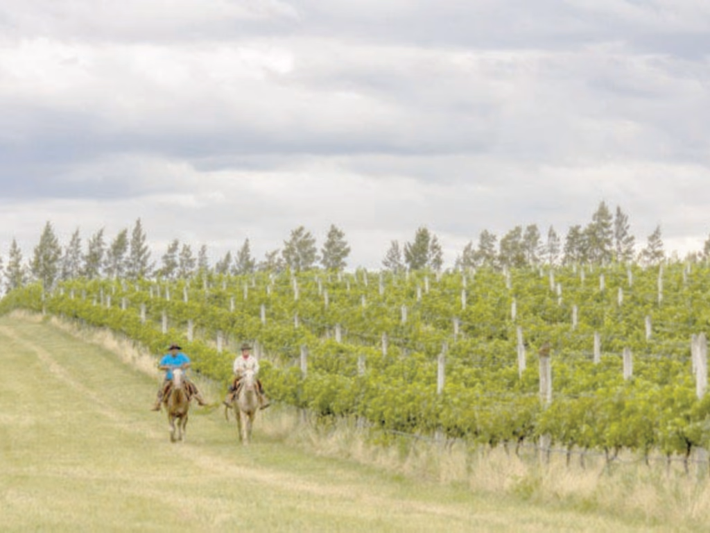 Uruguaiana terá representação na “vitrine da América”