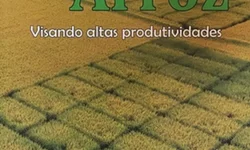 Ensino superior gaúcho tem mais alunos na EaD do que no presencial