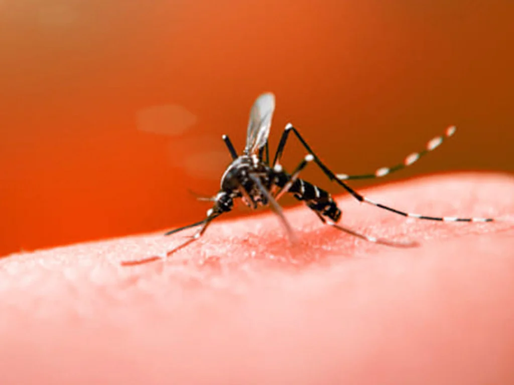 Prefeitura e exército realizam ação conjunta de combate à dengue