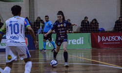 Belle Reserva vence a Morfologia do Cavalo Crioulo