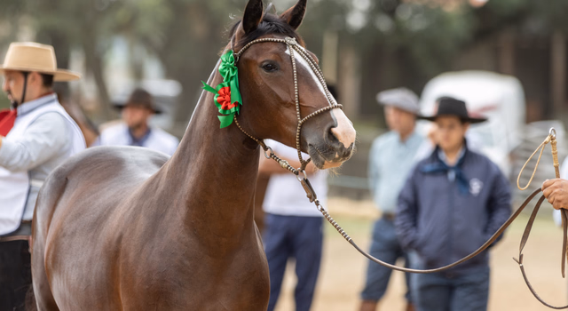 Cidade paranaense abriu ciclo de Outono das Exposições Passaporte