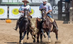 Belle Porcelana e Guanabara Saladero são Freio de Ouro