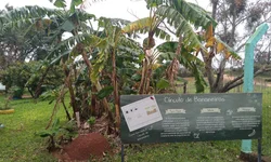 Programa Mais Comércio oferece aperfeiçoamento gratuito em Marketing Digital