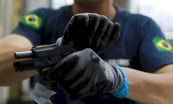 Brigada apreende dez capivaras em carro abandonado