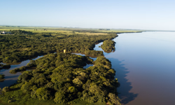 PL reconhece o ofício de domador como Patrimônio Histórico e Cultural