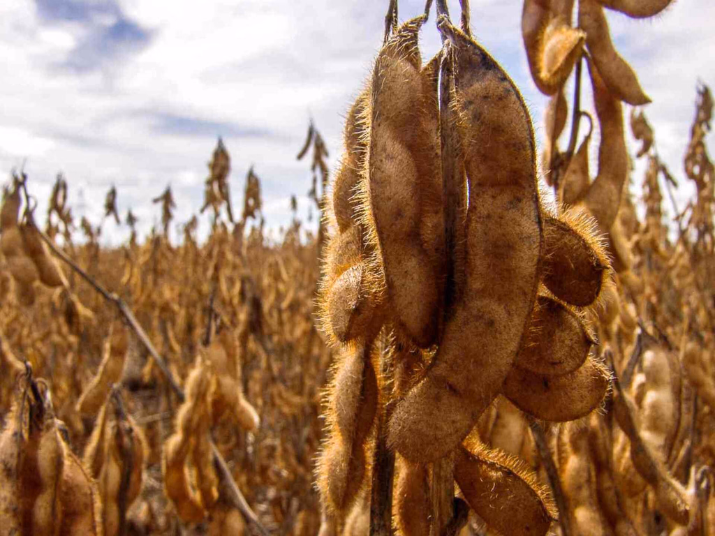 Agro gaúcho exportou US$ 3,54 bilhões no segundo trimestre