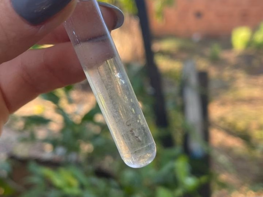 Uruguaiana fica fora da lista das cidades que receberão vacinas contra a dengue