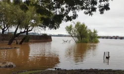 Prazo para licenciamento de veículos encerra na quinta-feira