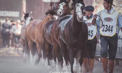 Conferência Estadual visa a criação de projeto de lei do esporte no RS