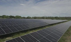 Assembleia Legislativa instalou 35 Frentes Parlamentares em 2021