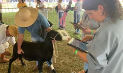 Celemaster enfrenta a Malgi em jogo que virou clássico