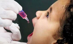 Município realiza mais de 300 coletas de PSA