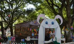 Prefeitura inicia doação de ração bovina a pequenas propriedades rurais