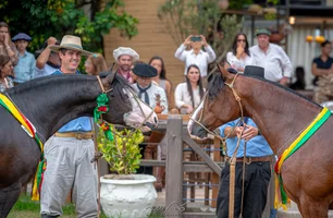 Exposição Passaporte em Bagé define oito nomes para a final