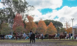 Foi dada a largada à Marcha de Resistência do Cavalo Crioulo