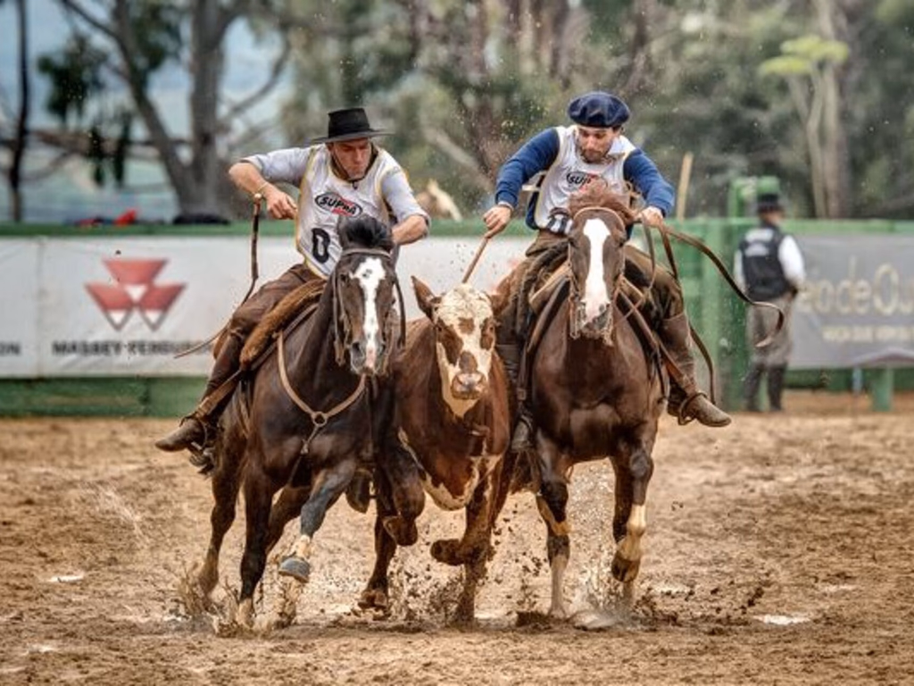 Ciclo do Freio de Ouro 2019 tem calendário definido