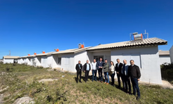 Município poderá contratar mais de 360 temporários