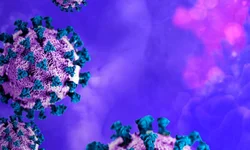 Nova variante é descoberta na França