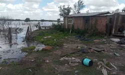 Grupo realiza torneio de Padel em prol da causa animal