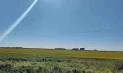 Crianças imunodeprimidas serão priorizadas na vacinação