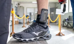 Obstruir o combate ao crime organizado será crime