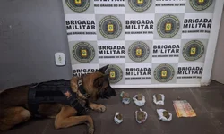 Brasil é o 5º país em que mulheres mais têm medo de sofrer agressão